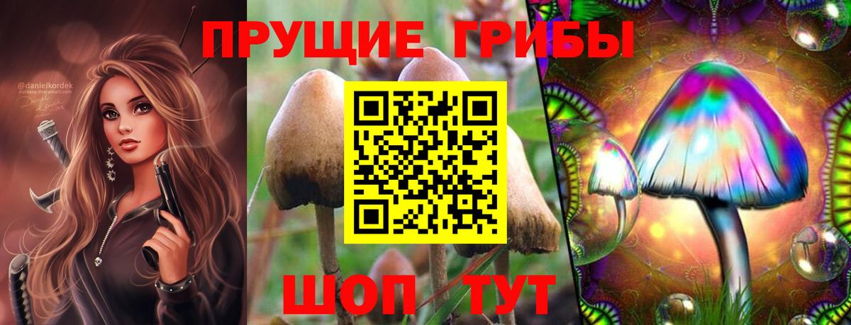Михайловка  Галлюциногенные грибы Magic Shrooms  где можно купить наркотик  Вход с VPN 