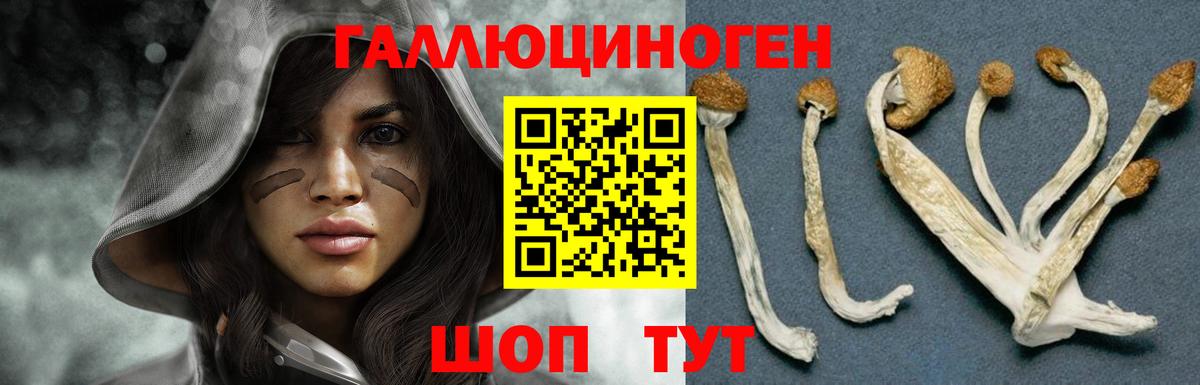 Галлюциногенные грибы GOLDEN TEACHER Михайловка